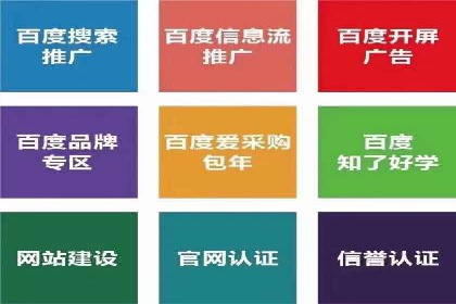 推广竞价策略优化：借鉴经典案例提升效果